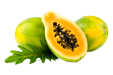Carica Papaya (Pawpaw)